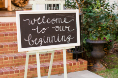 stevenson-ridge-va-phillips-wedding-reception-bethanne-arthur-photography-photos-1