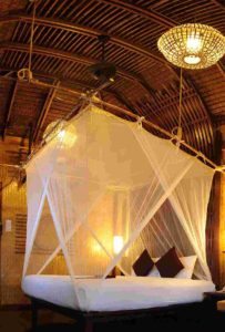 Gallery3