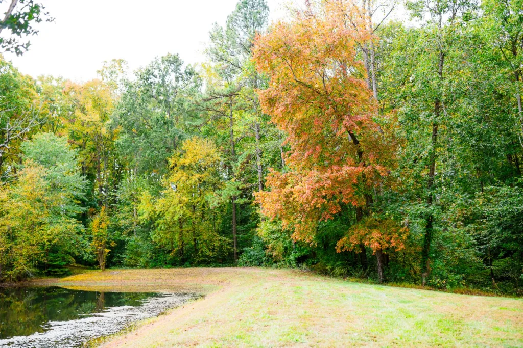 A serene landscape photo of a tranquil pond surrounded by vibrant autumn trees displaying green, yellow, and orange foliage, highlighting the natural beauty of Stevenson Ridge in Spotsylvania, Virginia.