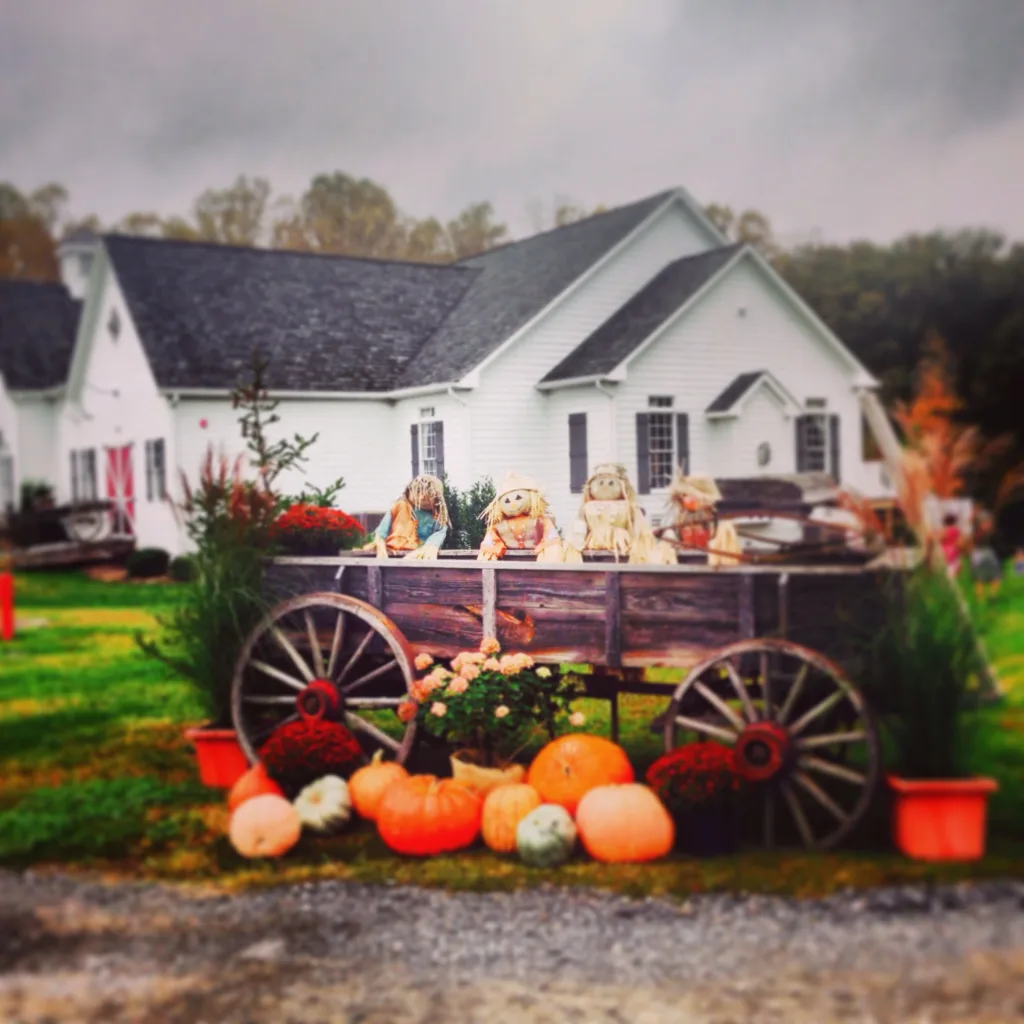 Rustic wooden wagon filled with pumpkins, autumn mums, and scarecrows in front of The Lodge at Stevenson Ridge during a fall wedding.